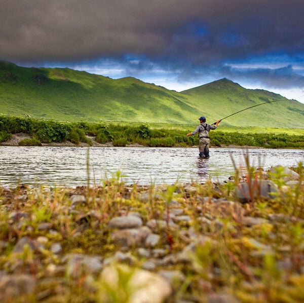 Andino übernimmt fishbreak.ch