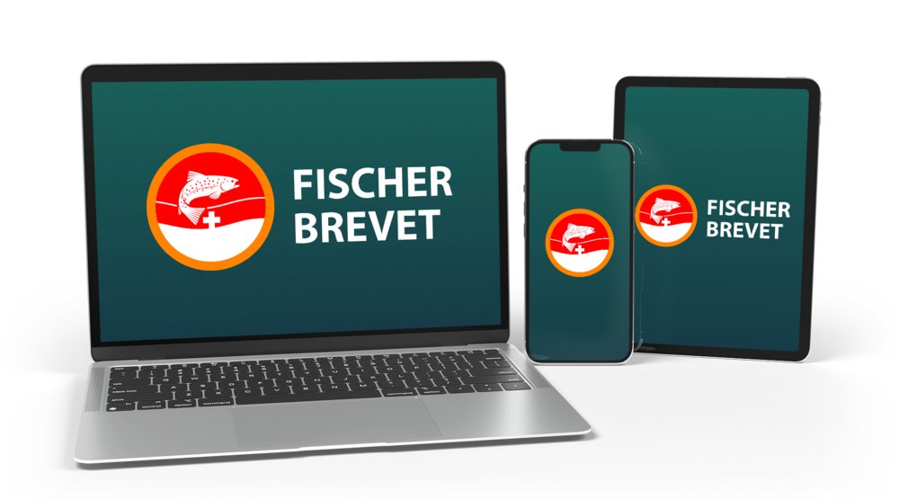 Fischer Brevet eLearning