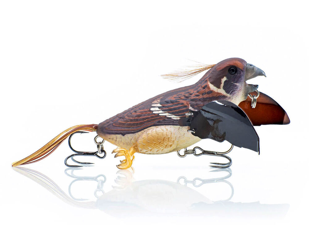 Chasebaits – Degustationspaket