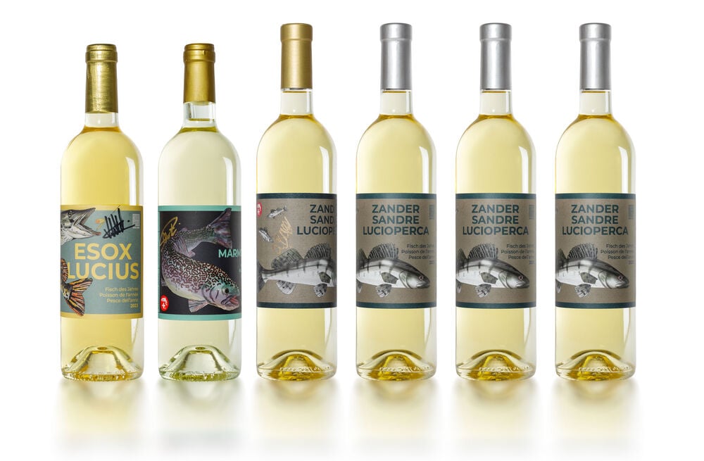 Wein-Sammelkiste: Fisch des Jahres