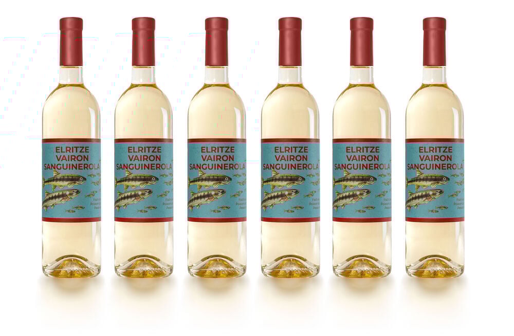 Wein zum Fisch des Jahres 2026