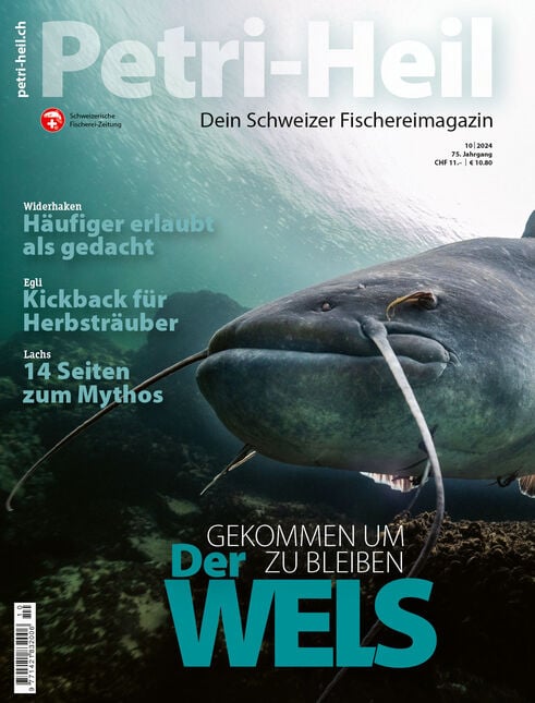 Petri-Heil [10|2024]