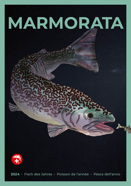 [Poster: ]Pesce dell'anno 2024