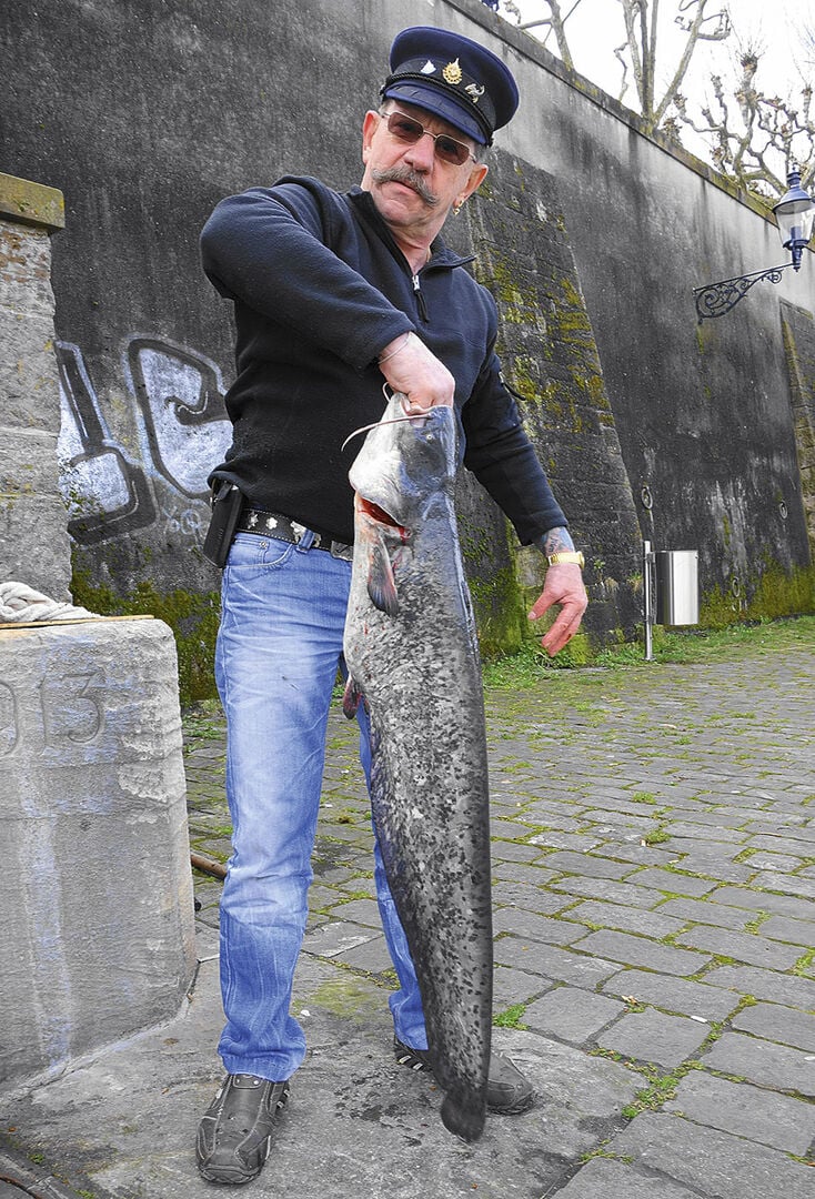  Auch Basels Original unter den Fischern, der Forellen-Toni, hatte schon einen Wels mit seinem Galgen fangen können.  