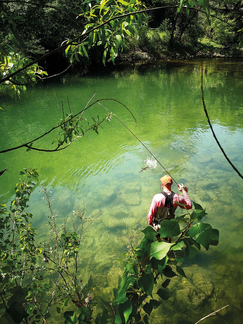  Die Landung einer grossen Marmorata ist an den hindernisreichen Flüssen Sloweniens anspruchsvoll und oft Glückssache.   