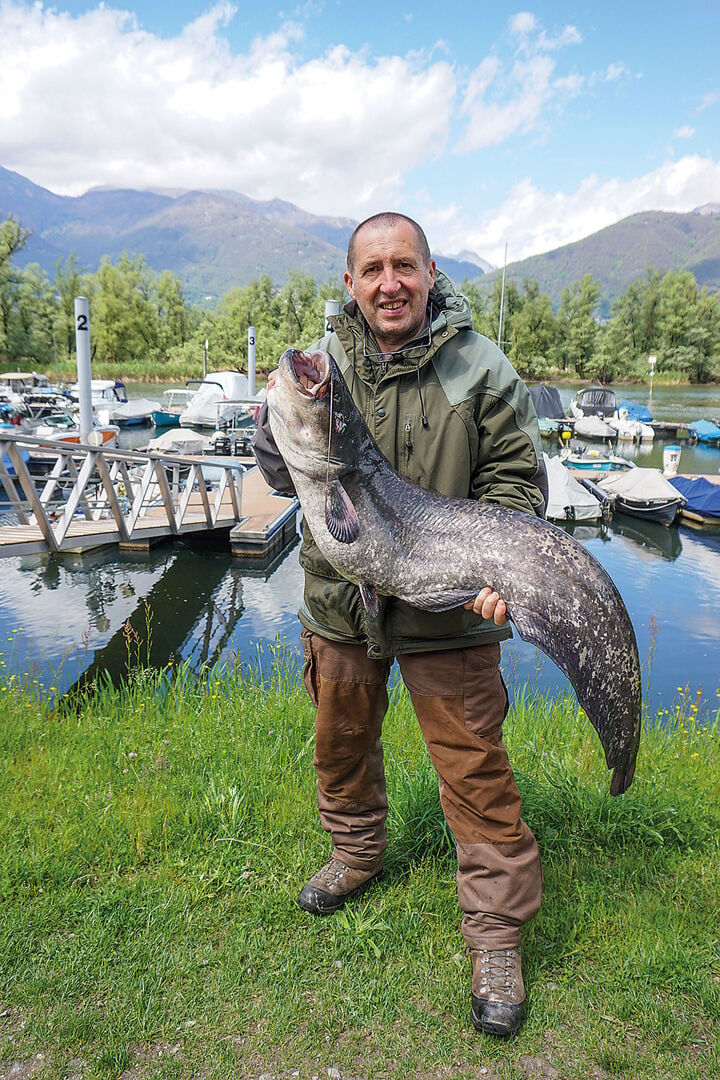  «Netter» Beifang beim Hechtfischen: Sandro mit Wels um die 25 Kilo.   