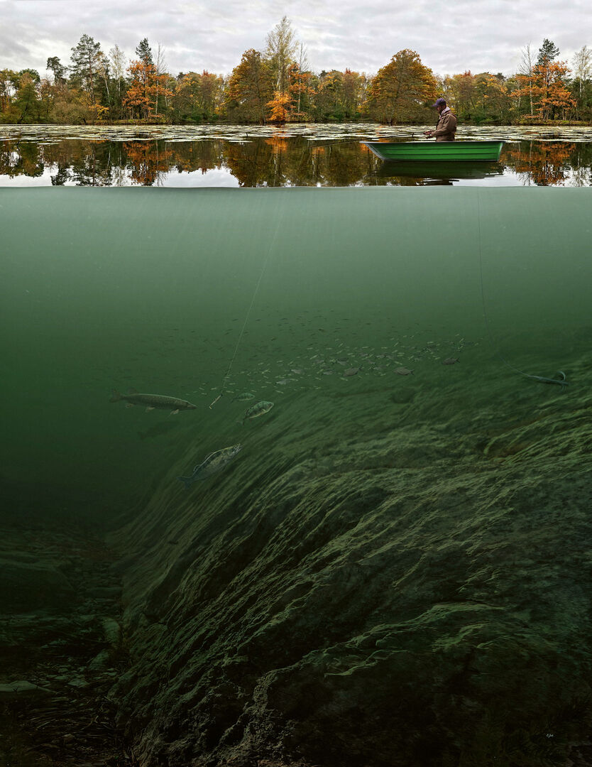  Egli, Hecht und Zander – die Raubfische gehen im Herbst gerne am Fuss von steil abfallenden Kanten auf Beutejagd.  