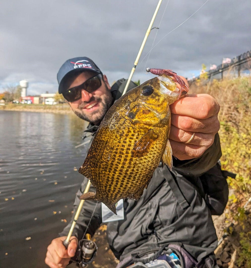 Morgan mit einem Rock Bass. Die Vielfalt an Barschartigen in Wisconsin begeistert Spinnfischer.  