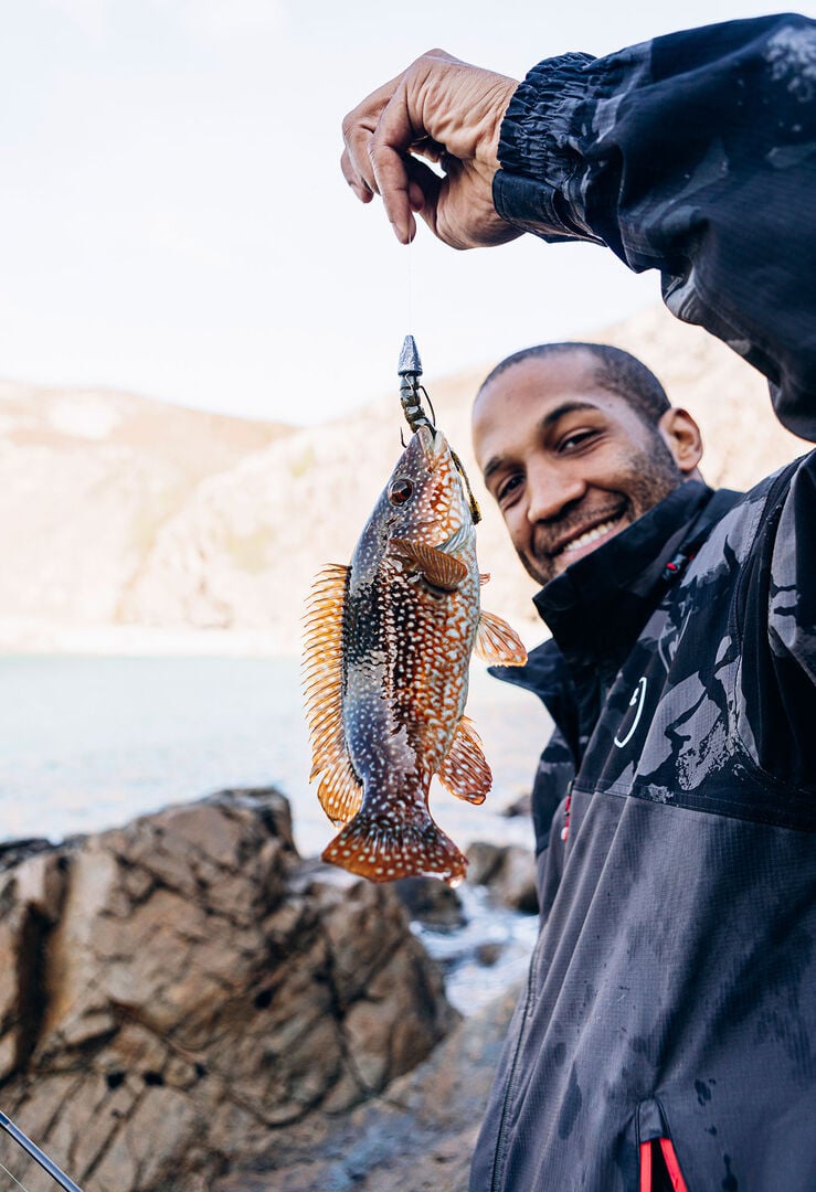  Lippfische sind ebenso kampfstark wie prächtig.  
