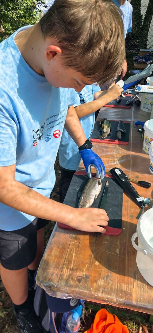  Auch das gehört dazu, der tierschutzkonforme Umgang mit dem Fisch und dessen Verwertung. © Alexander Roschi  