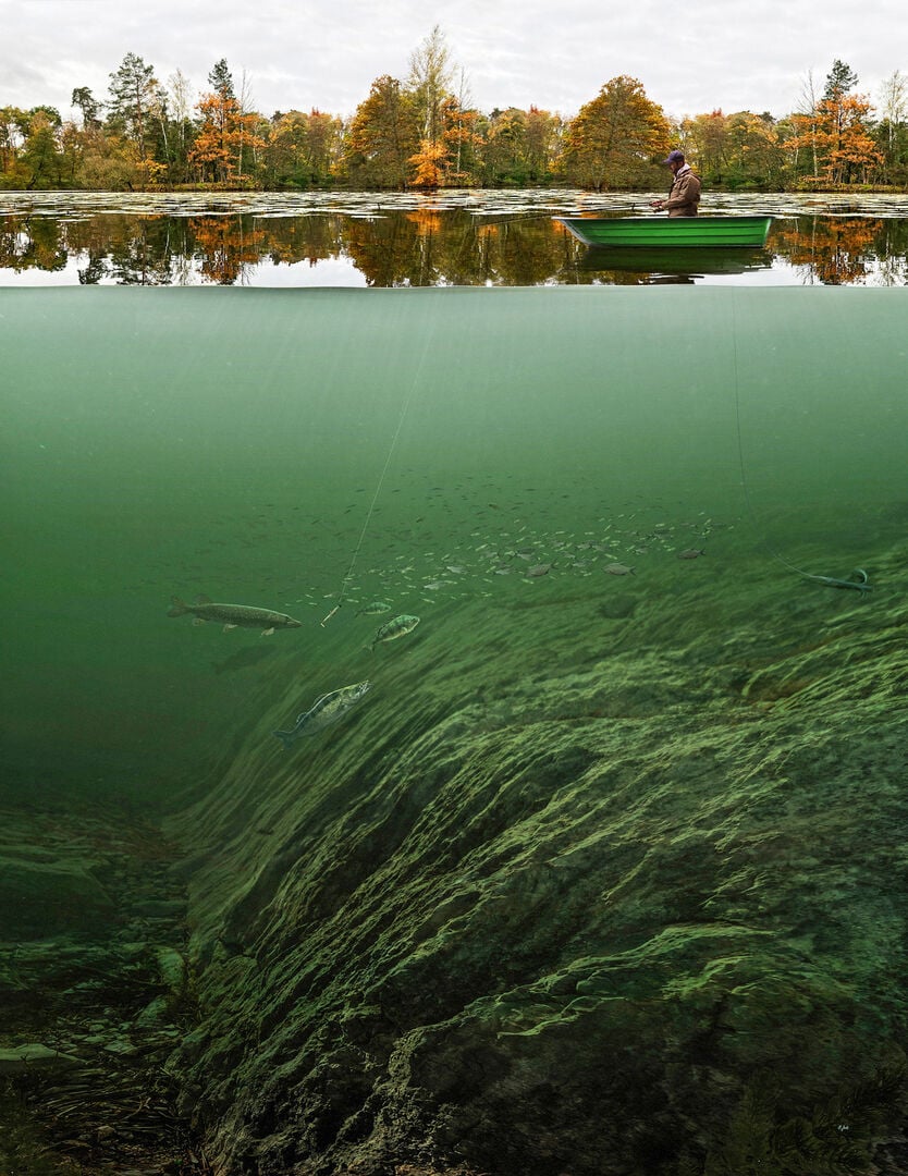 Nun gilt es, die Fische zu finden. «Run and Gun», bis Du die Fische gefunden hast.  