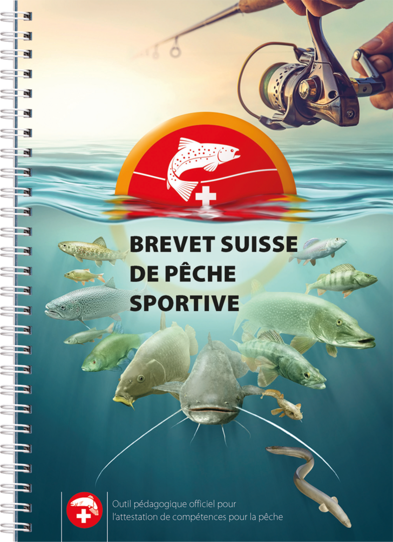 Brevet suisse de pêche sportive